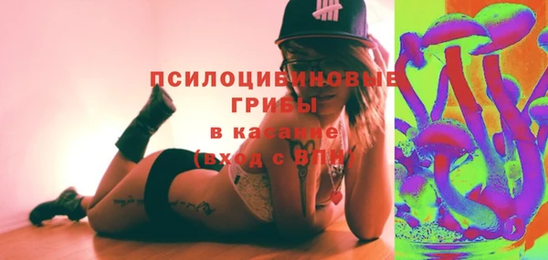 стафф Богородицк